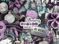 Chasing Dreams 000