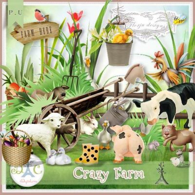 Crazy Farm