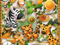 Safari