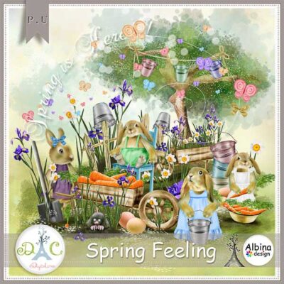 Spring Feeling