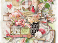 The Beautiful Moments Collection