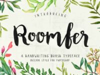 Font Roomfer + Style Photoshop 00