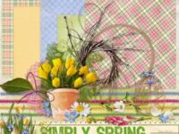 Simply Spring