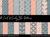 Soft Coral & Smoky Blue Patterns 00