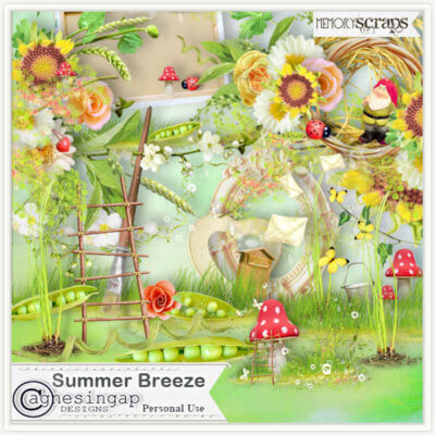 Summer Breeze