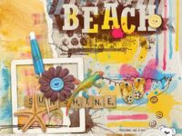 Sunshine Beach