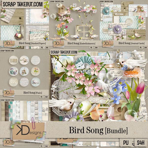 Bird Song Bundle