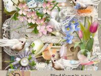 Bird Song Full Kit