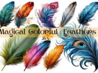 Magical Colorful Feathers