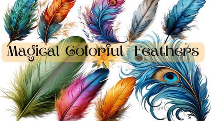 Magical Colorful Feathers