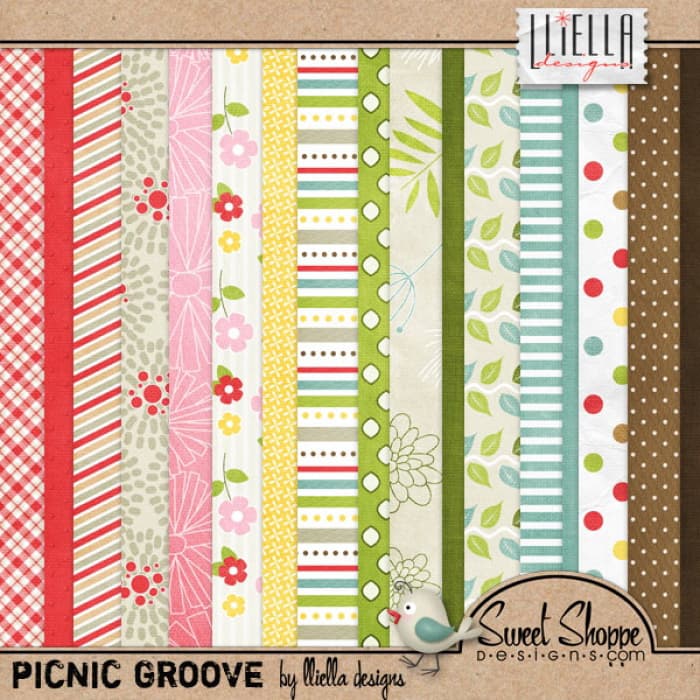 Picnic Groove 1