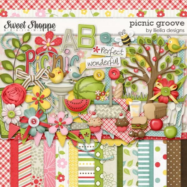 Picnic Groove
