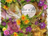 Secret Garden 01