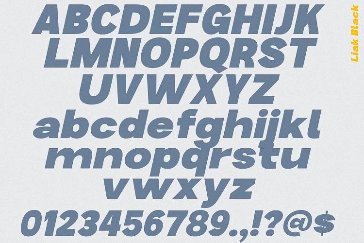 Liak ~ Sans Serif Family 03