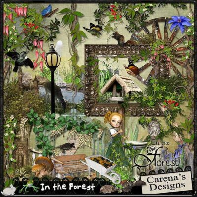 In The Forest