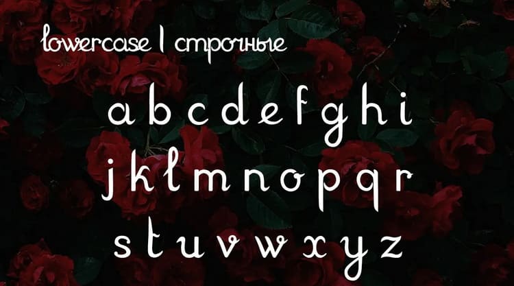 Rosarium Font 4