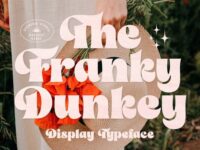 The Franky Dunkey Font