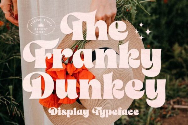 The Franky Dunkey Font