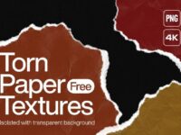 100+ Torn Paper Textures