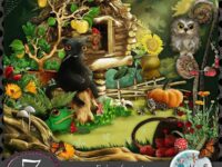 Fairy Forest