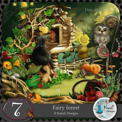 Fairy Forest