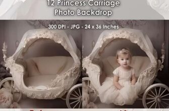 12 Studio Backgrounds ~ Princess Carriage 0