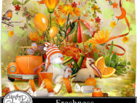 Freshness 1