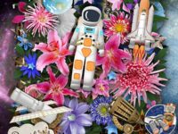 Stargazer 24