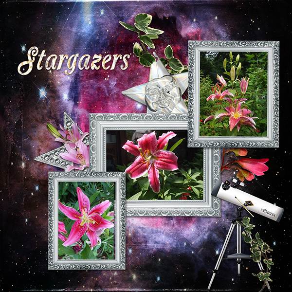 Stargazer 24 7