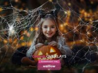 Cobweb Halloween 15 Overlays 1