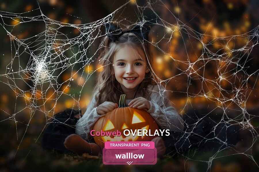 Cobweb Halloween 15 Overlays 1