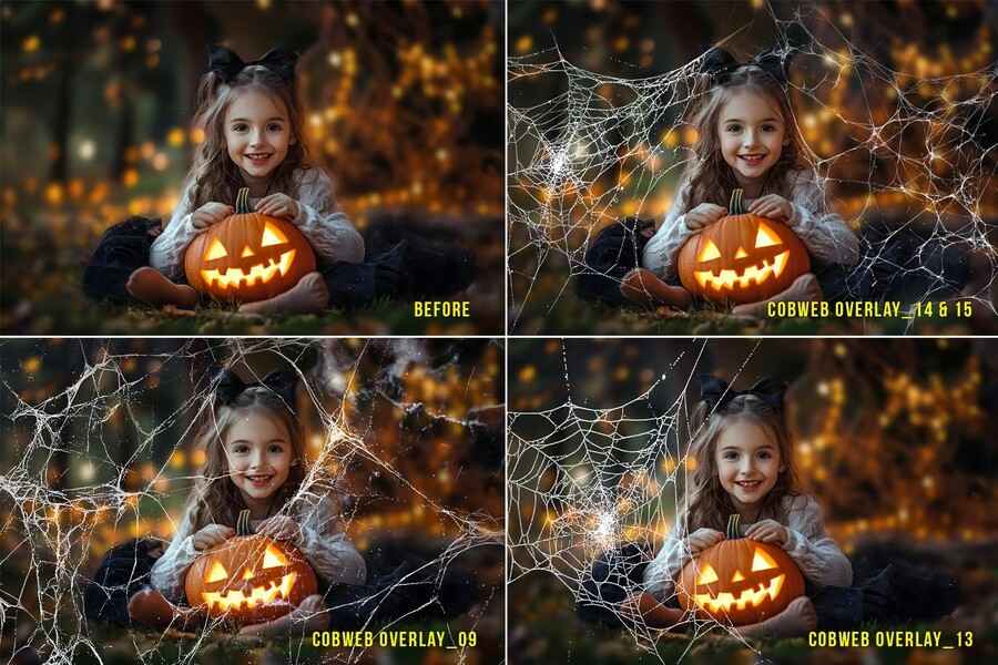 Cobweb Halloween 15 Overlays 2