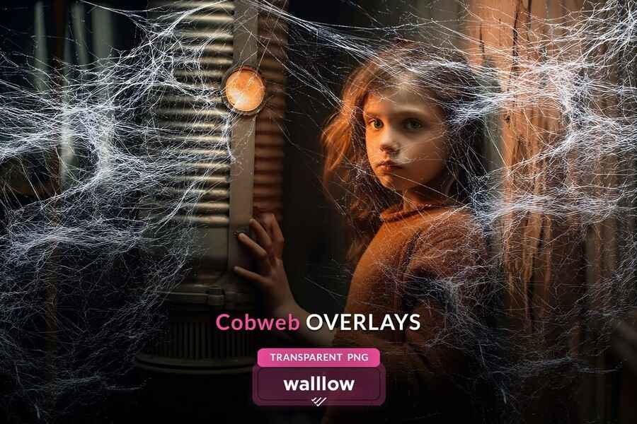 Cobweb Halloween 15 Overlays 3