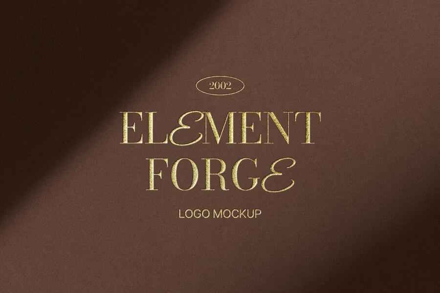 Elegant Logo Mockup 1