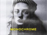Monochrome Copy Photo Effect 0
