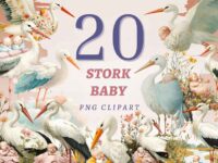 Stork Baby Png Bundle Graphics