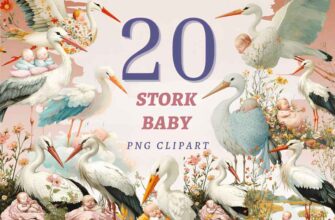 Stork Baby Png Bundle Graphics