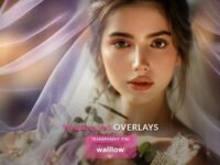 Wedding Veil Transparent Png Photo Overlays 1