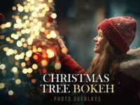 50 Christmas Tree Bokeh Overlays 1