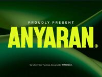 Anyaran Luxury Modern Font 1