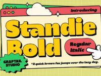 Standie Sans Display 0