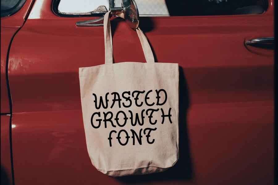 Tf Wasted Growth Display Font 3