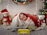 Twinkle Bokeh String Light Overlay 1