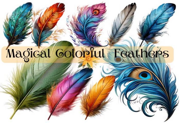 Magical Colorful Feathers