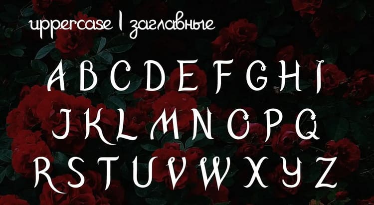 Rosarium Font 3