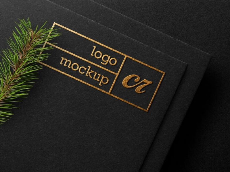 Psd Logo Mockup #51