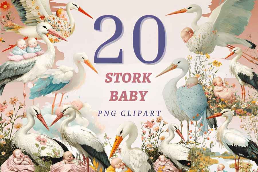 Stork Baby Png Bundle Graphics